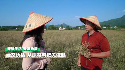 深山有嘉茗，一心出好茶｜这个夏天，长康带你去探秘